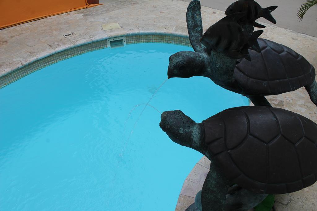 Parador Turtle Bay Inn Ла-Паргера Экстерьер фото